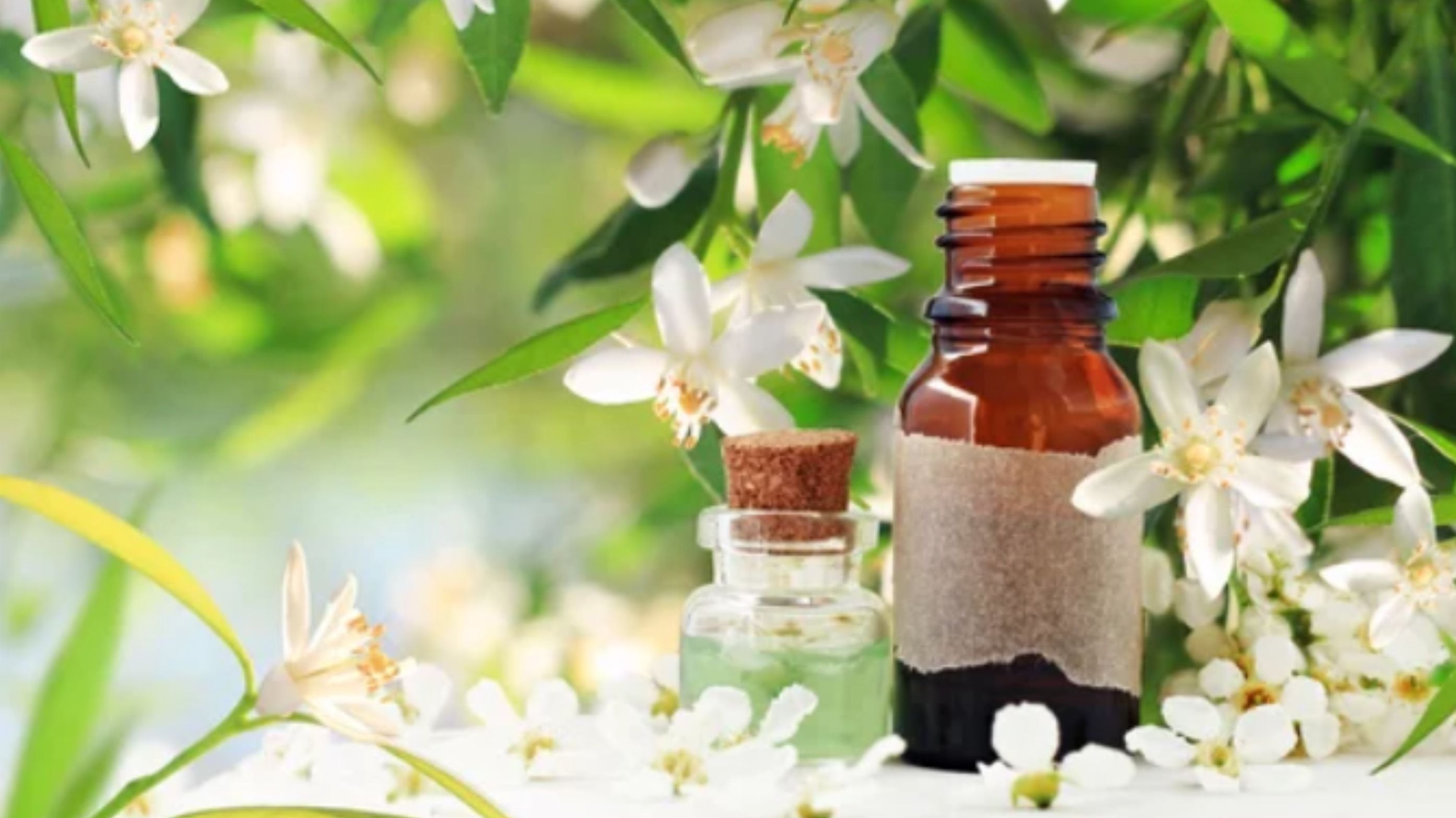 April Newsletter 2022