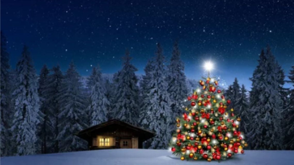 December 2021 Newsletter