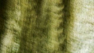 A Spine in the Rock of a Cuban Cave