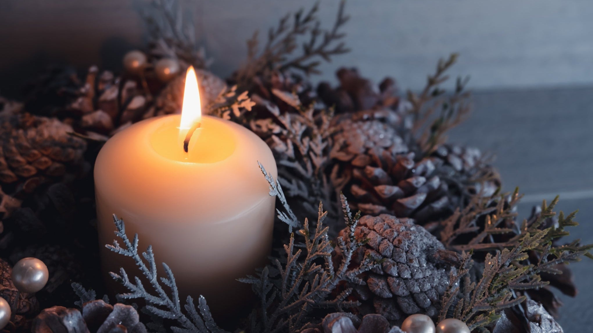 December 2025 Newsletter