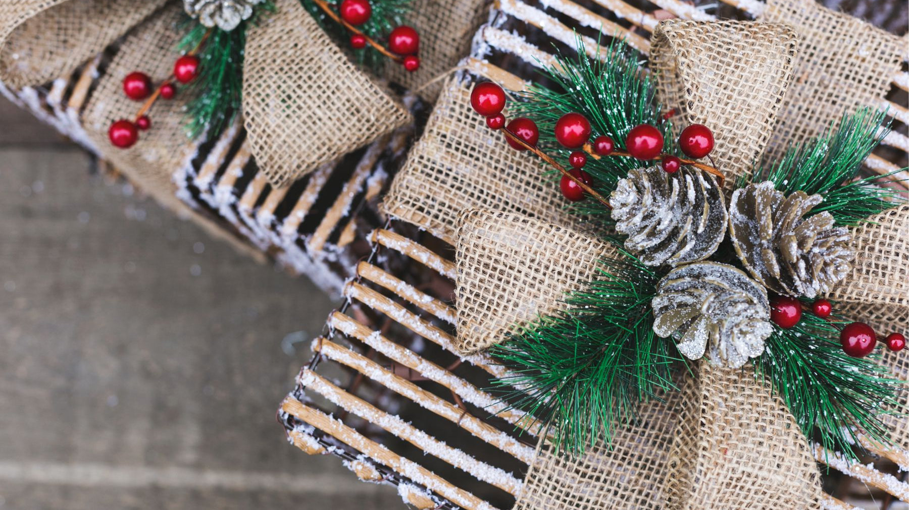 December 2022 Newsletter