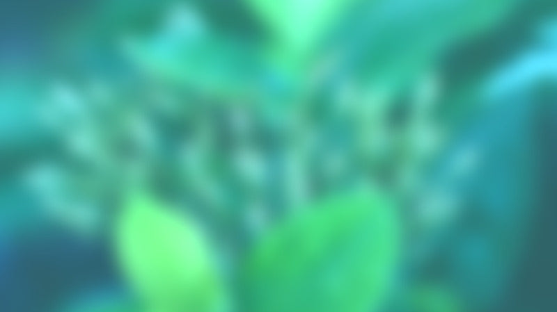 Spring Lymph Detox Blends from Marie