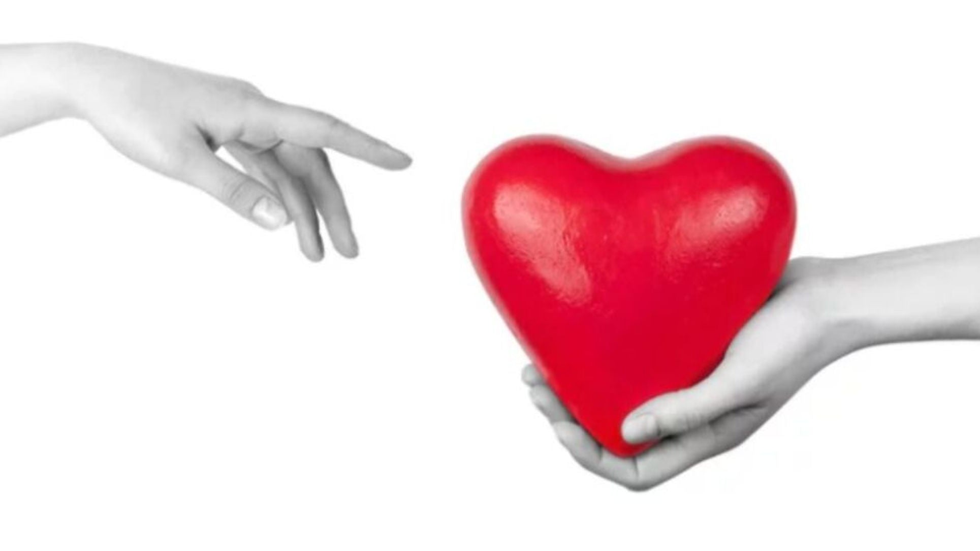 February Newsletter 2022