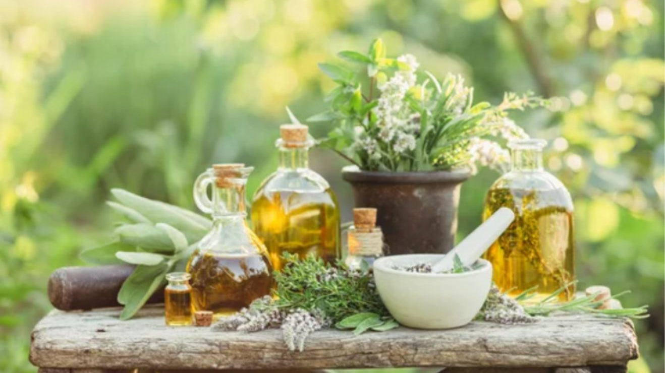 June Newsletter 2022