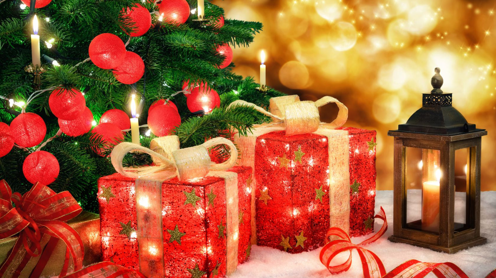 December 2023 Newsletter