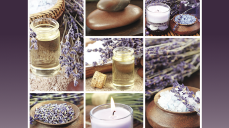 Holistic, Trusted, Established