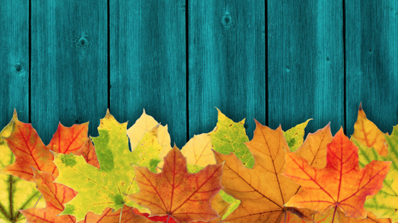 Happy Thanksgiving! (and pie)