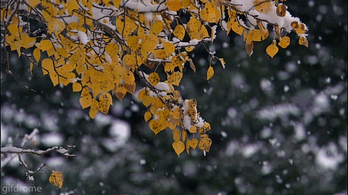 November News from MTSO