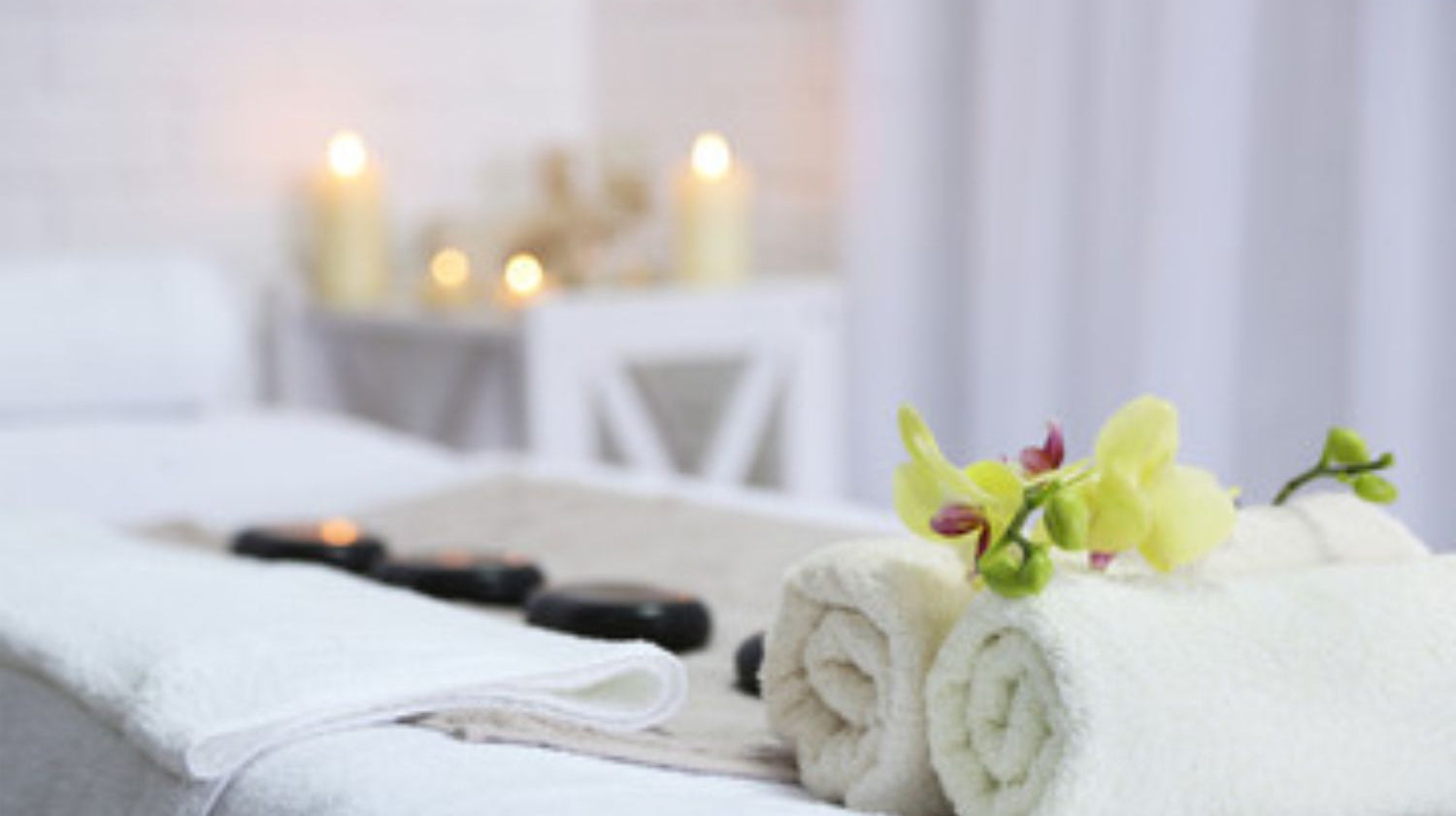 November 2022 Newsletter