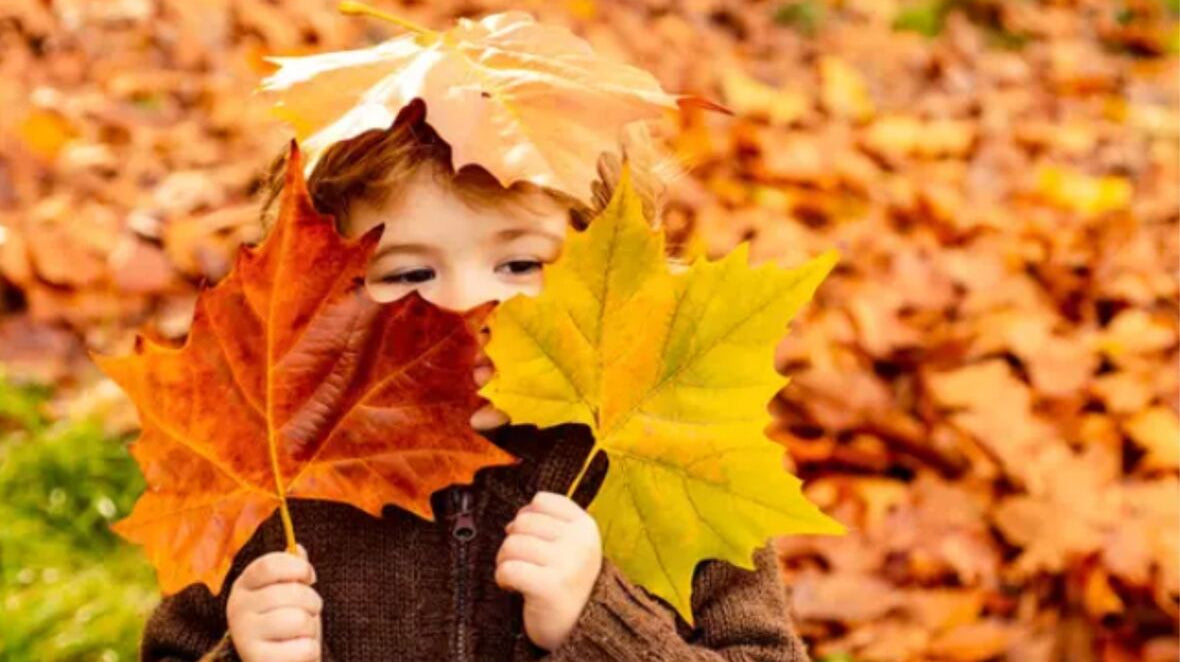 October 2021 Newsletter