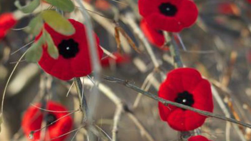CLOSED for Remembrance Day