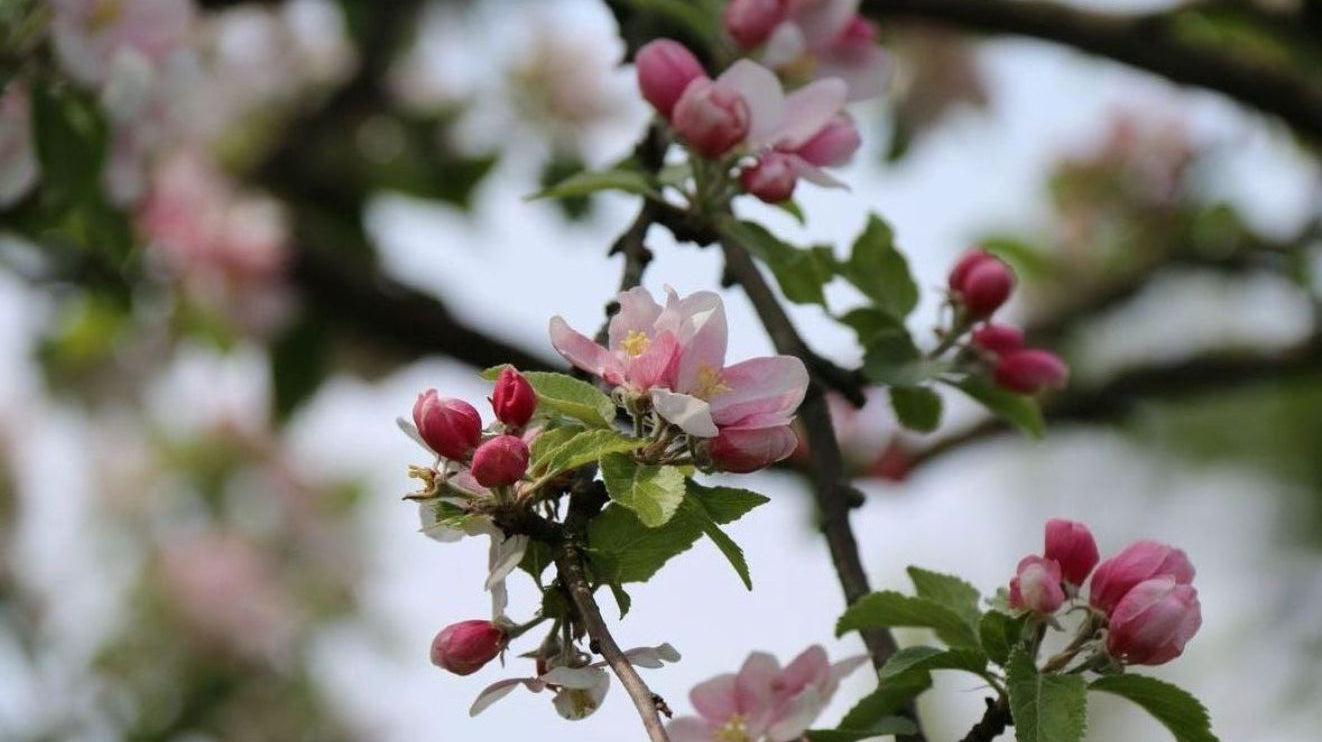 March 2020 Newsletter