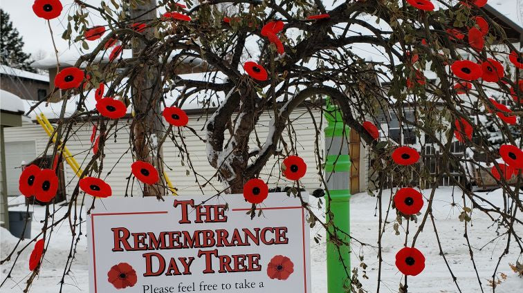 Thank you for The Rememberance Day Tree
