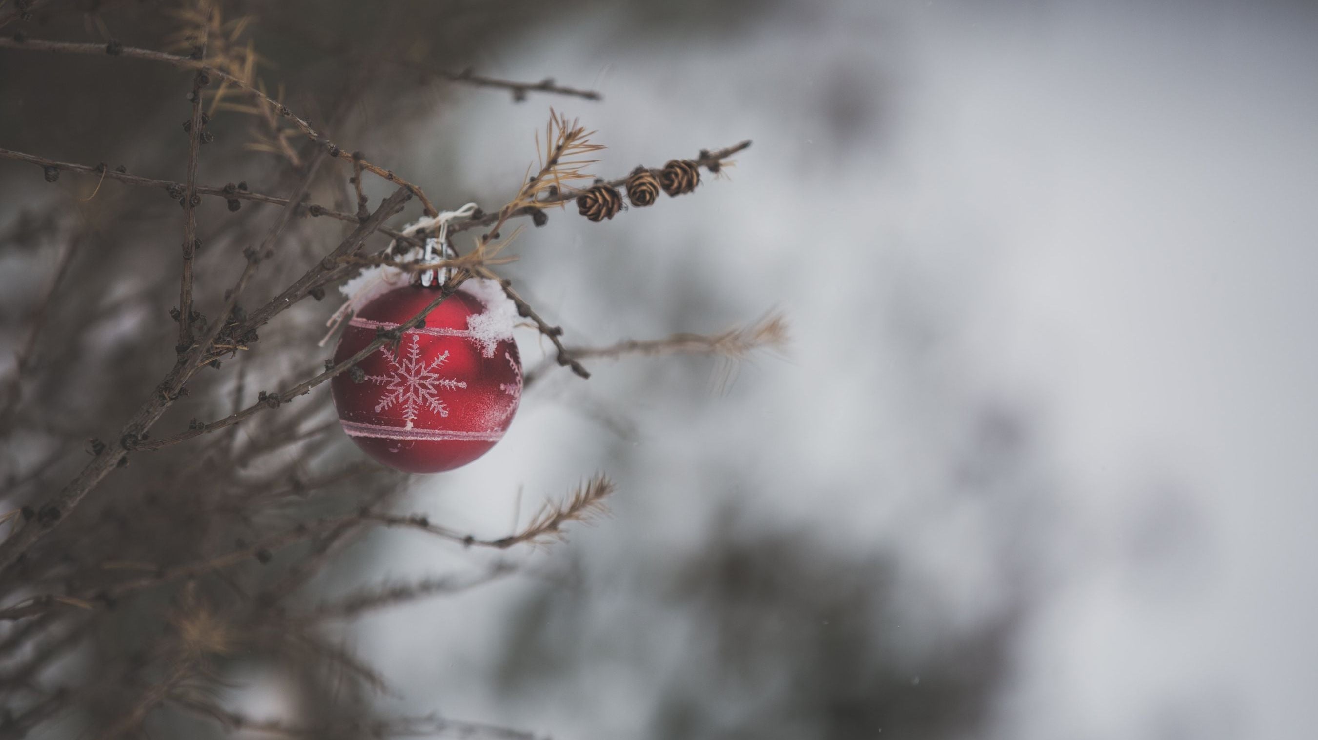 2024 Winter Promotion