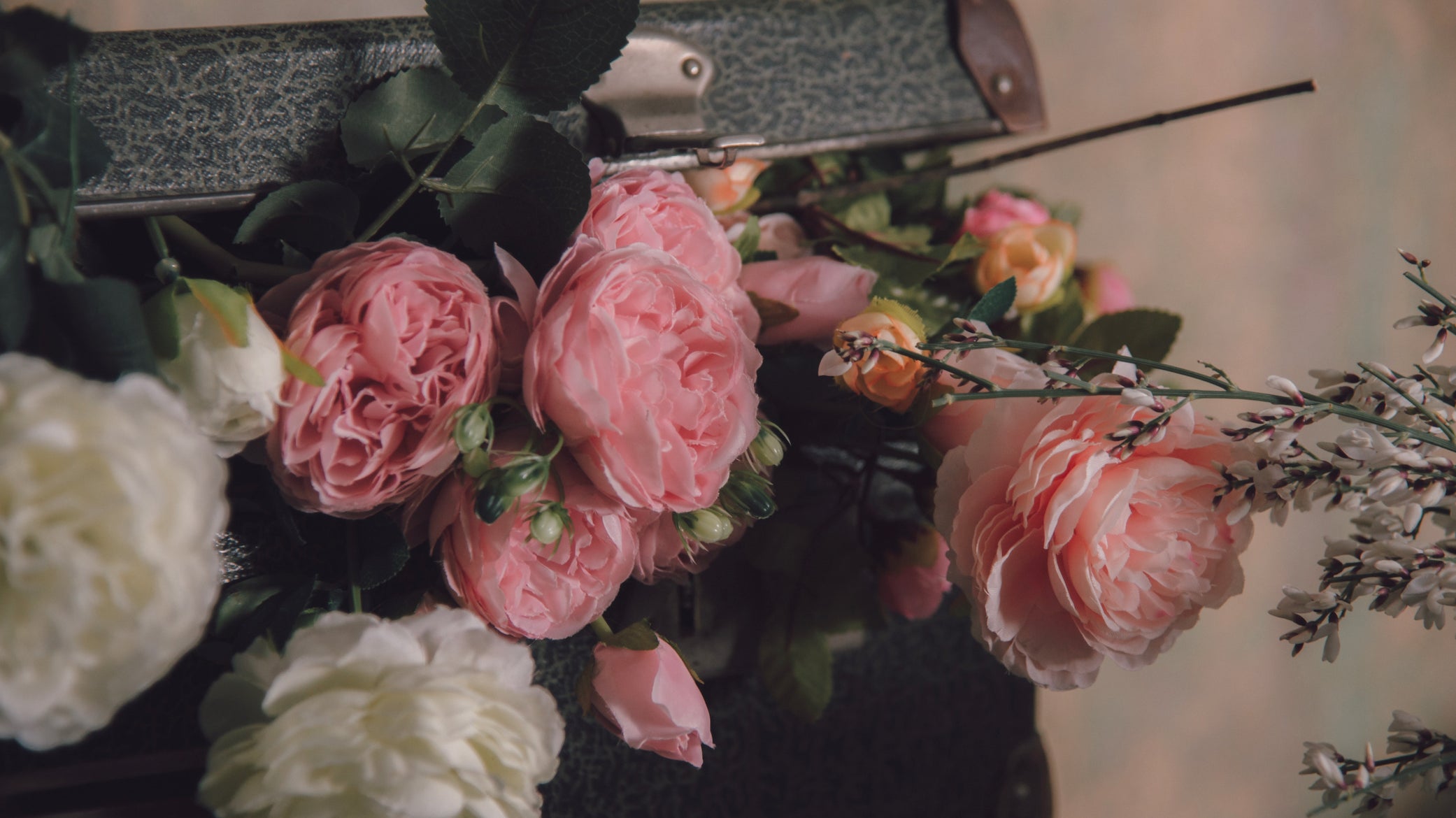 Spring to Summer - May Newsletter