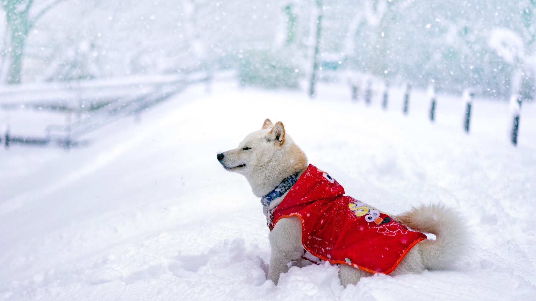 Closed for Family Day Monday Feb. 18th