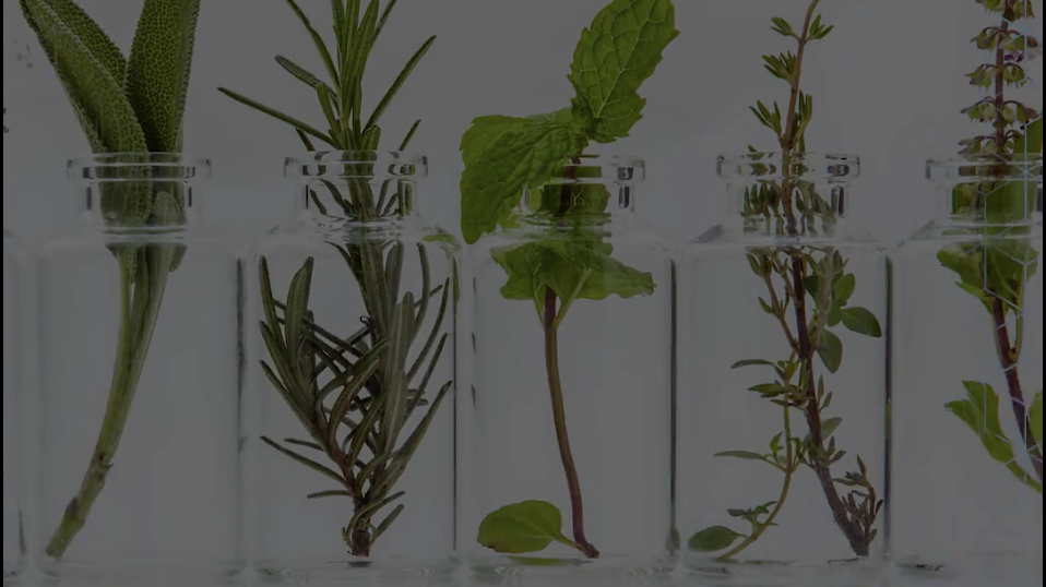 The Science Behind Essential Oils