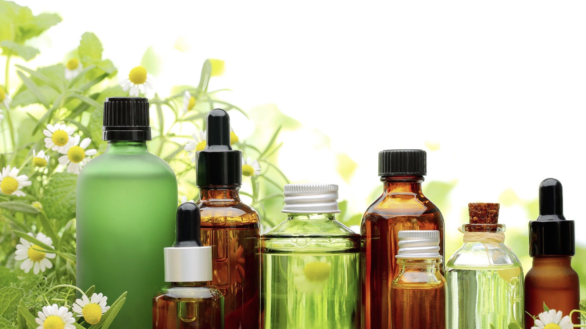 Everyone LOVES our Japanese Mint Oil