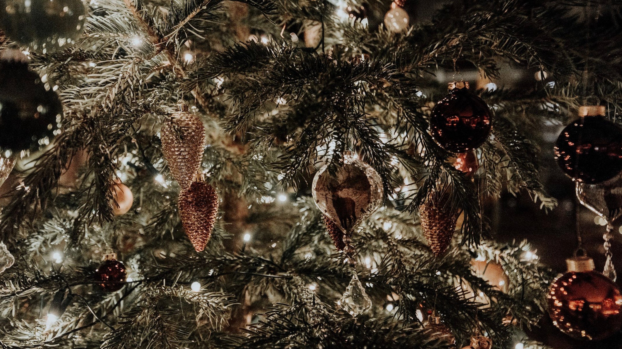 December 2019 Newsletter - Warm Greetings