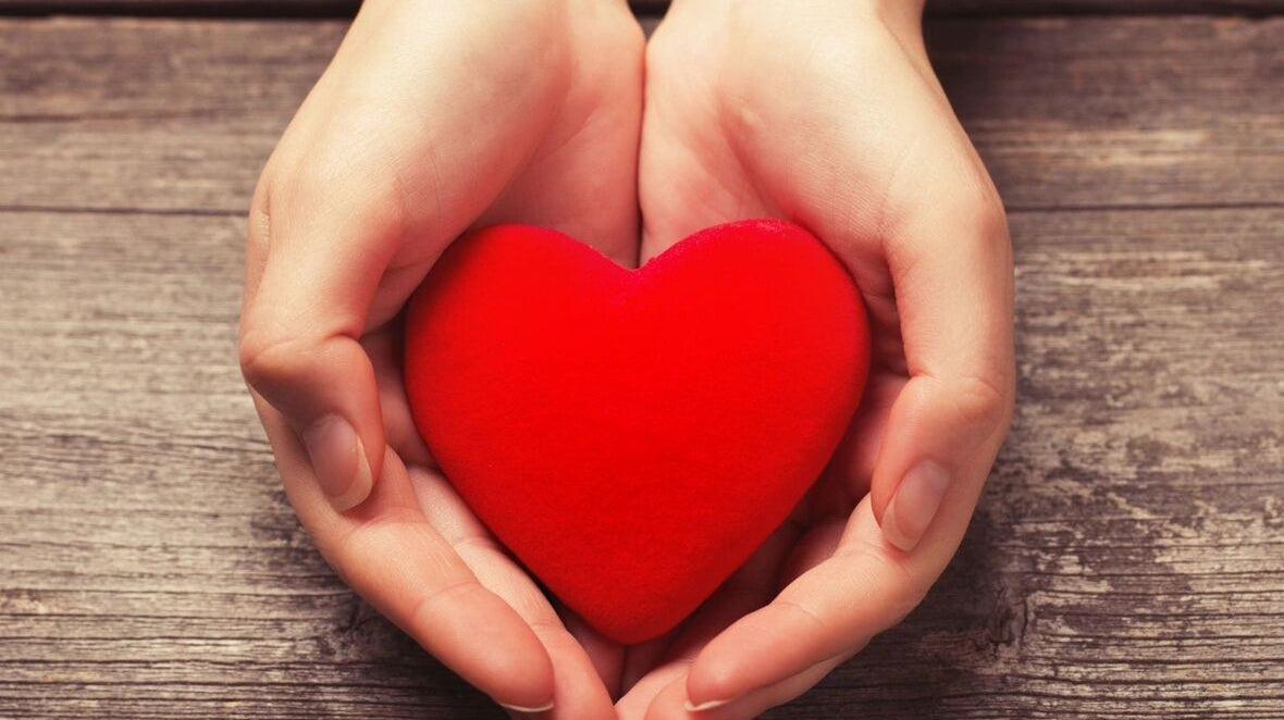 February 2023 Newsletter