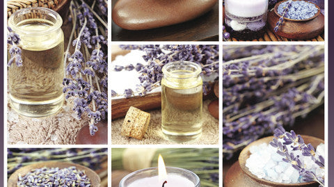 Setting up Practice - Part 1