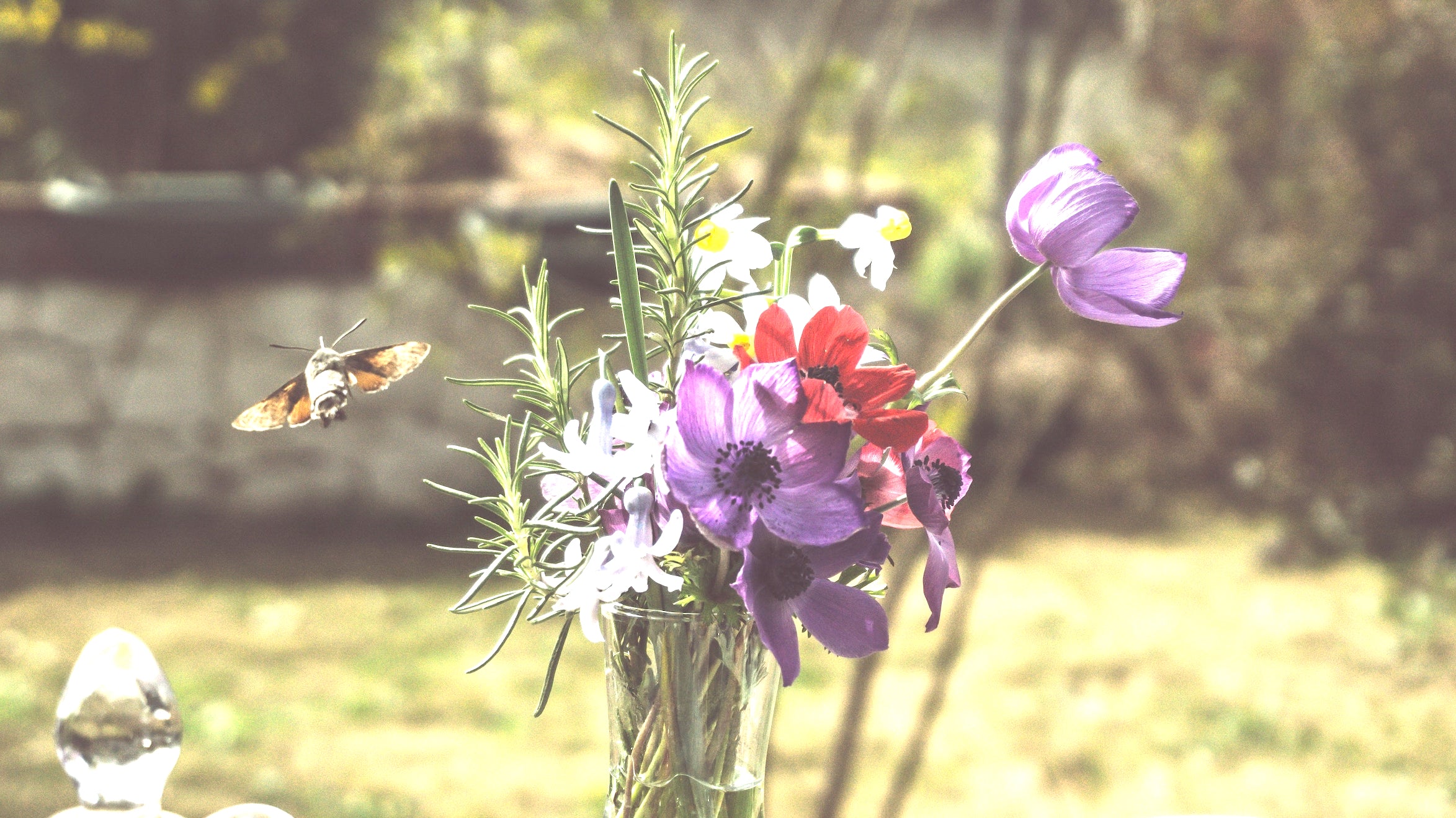 MTSO June Newsletter