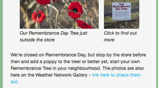 Our Latest Newsletter