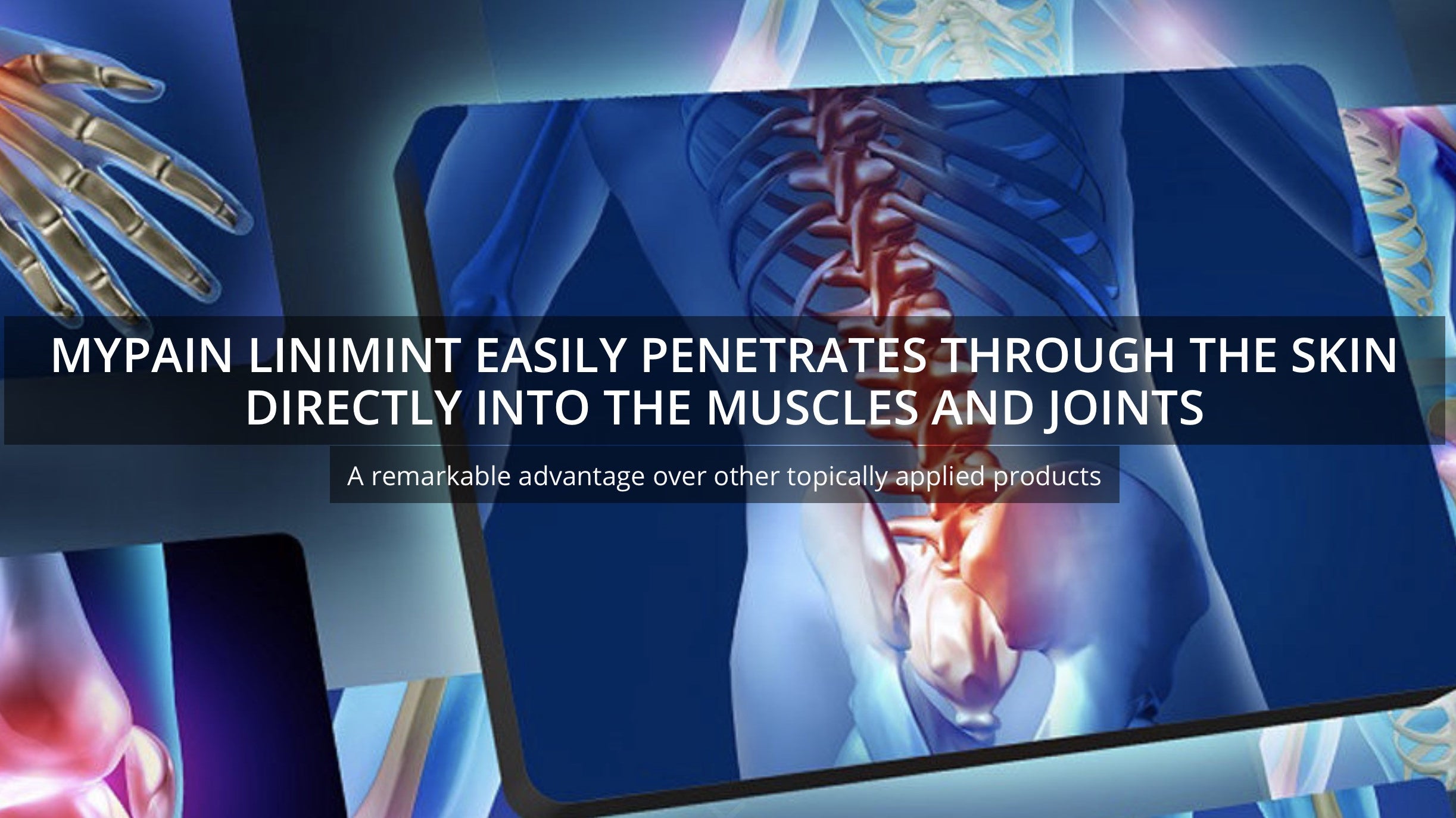 Mid-Summer Greetings from MTSO!