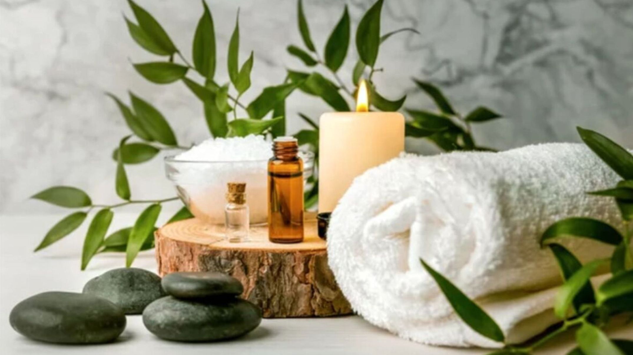 August 2021 Newsletter