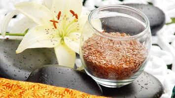 Massage Therapists: Planning for Fall Yet?