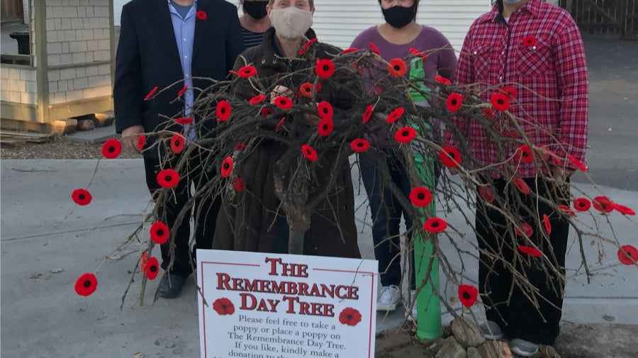 Remembrance Day Tree