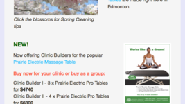 Spring Newsletter: now out