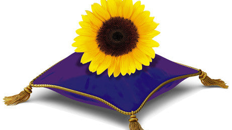 Telus Health eClaims