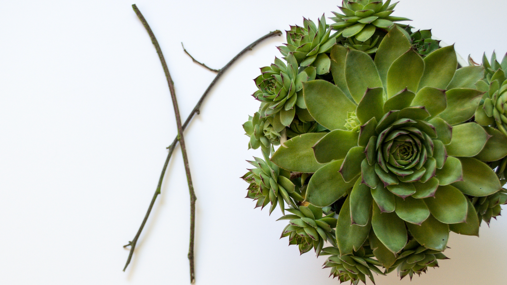 Special on Spa Tables with Lift Assist Backrest!