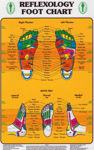 Foot Reflexology Chart (Pacific Institute)
