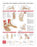 Anatomy & Injuries of Foot and Ankle