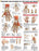 Anatomy & Injuries of the Hand and Wrist