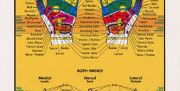 Chart illustrates hand reflexology