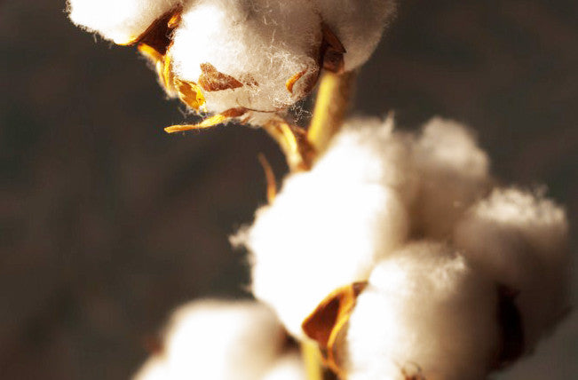 100% cotton flannelette