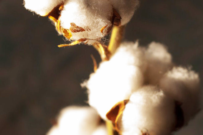 100% cotton flannelette