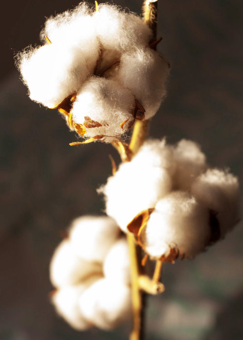 100% cotton flannelette