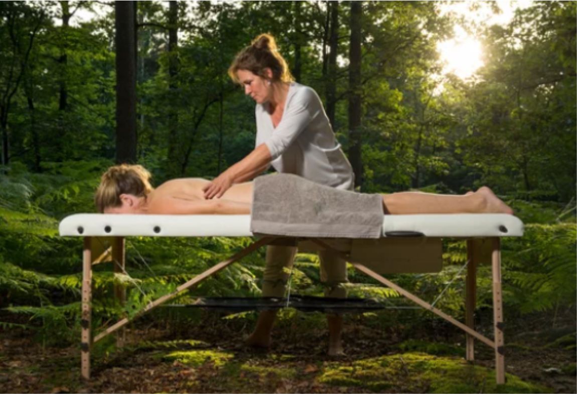 August 2022 Newsletter