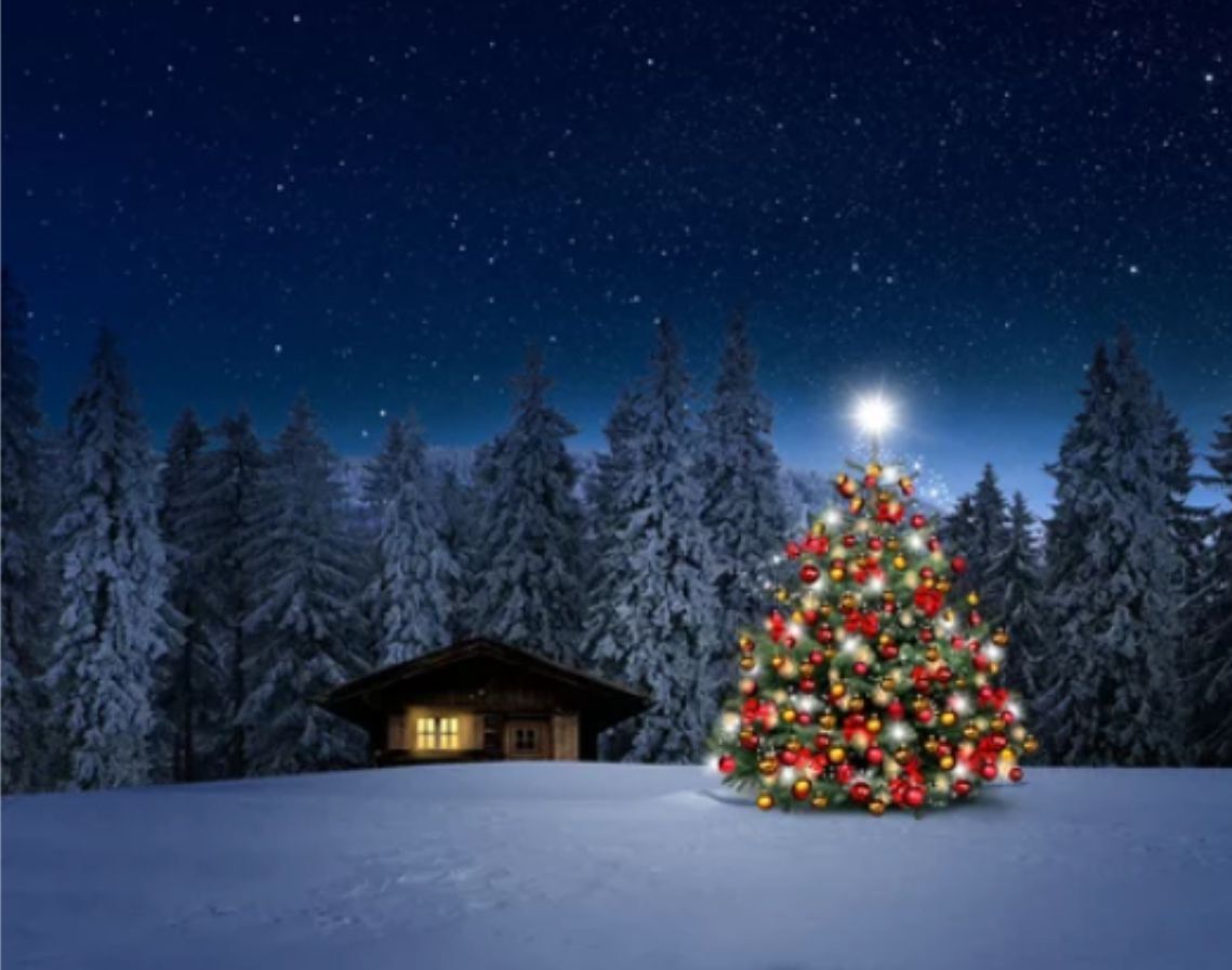 December 2021 Newsletter