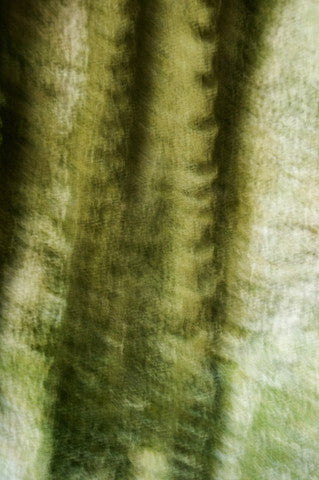 A Spine in the Rock of a Cuban Cave