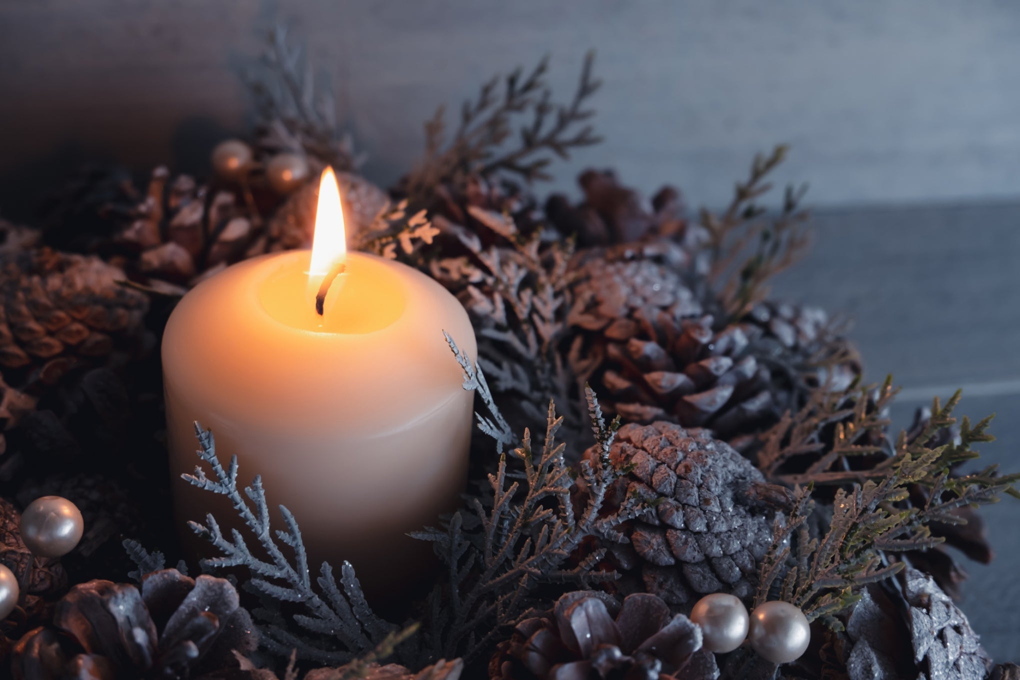 December 2025 Newsletter