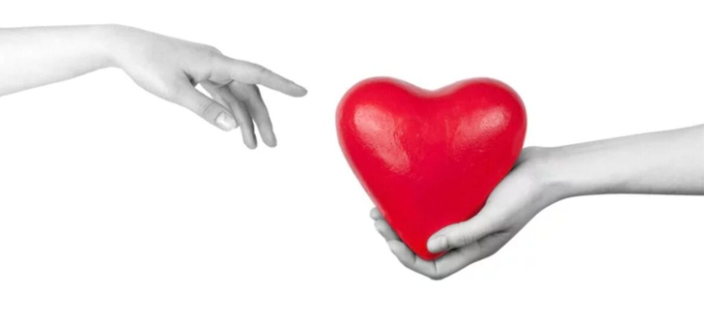 February Newsletter 2022