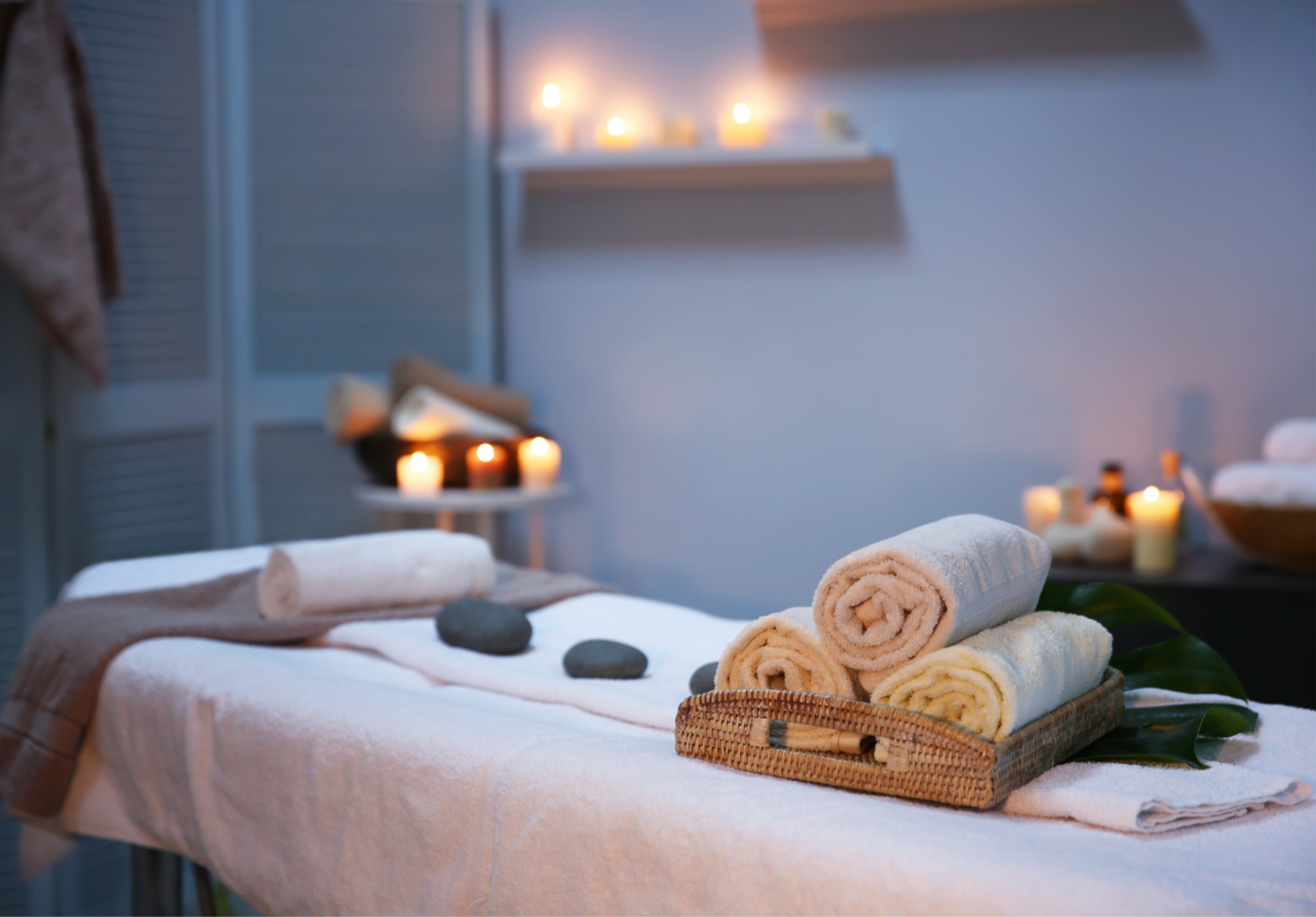 January 2026 Newsletter