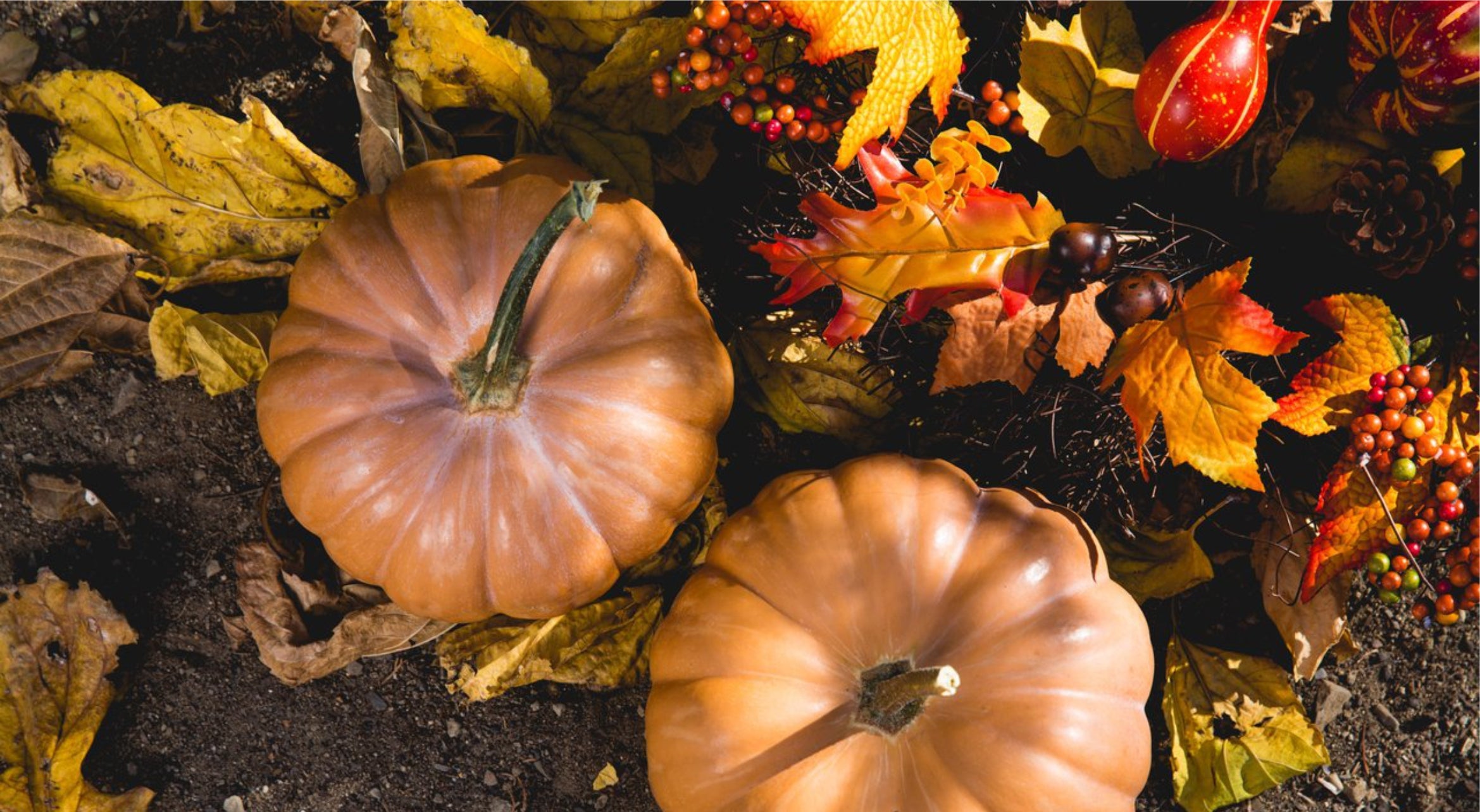 Closed for Thanksgiving