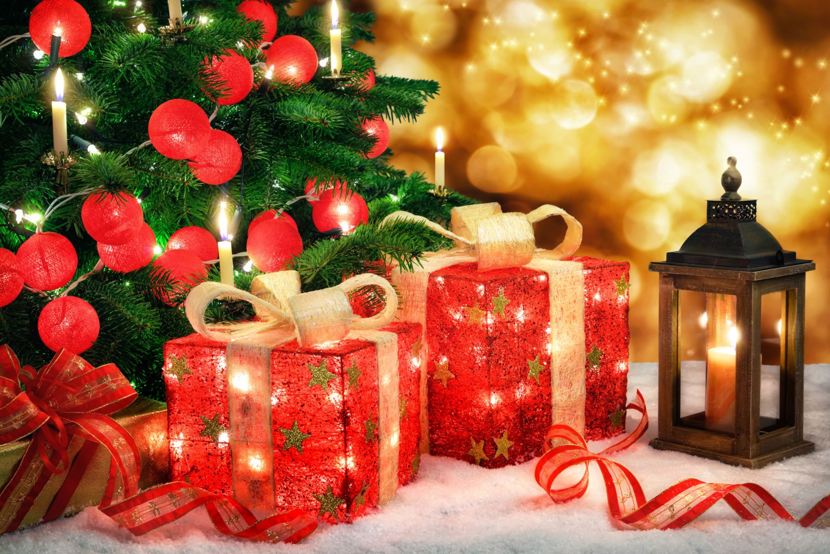 December 2023 Newsletter