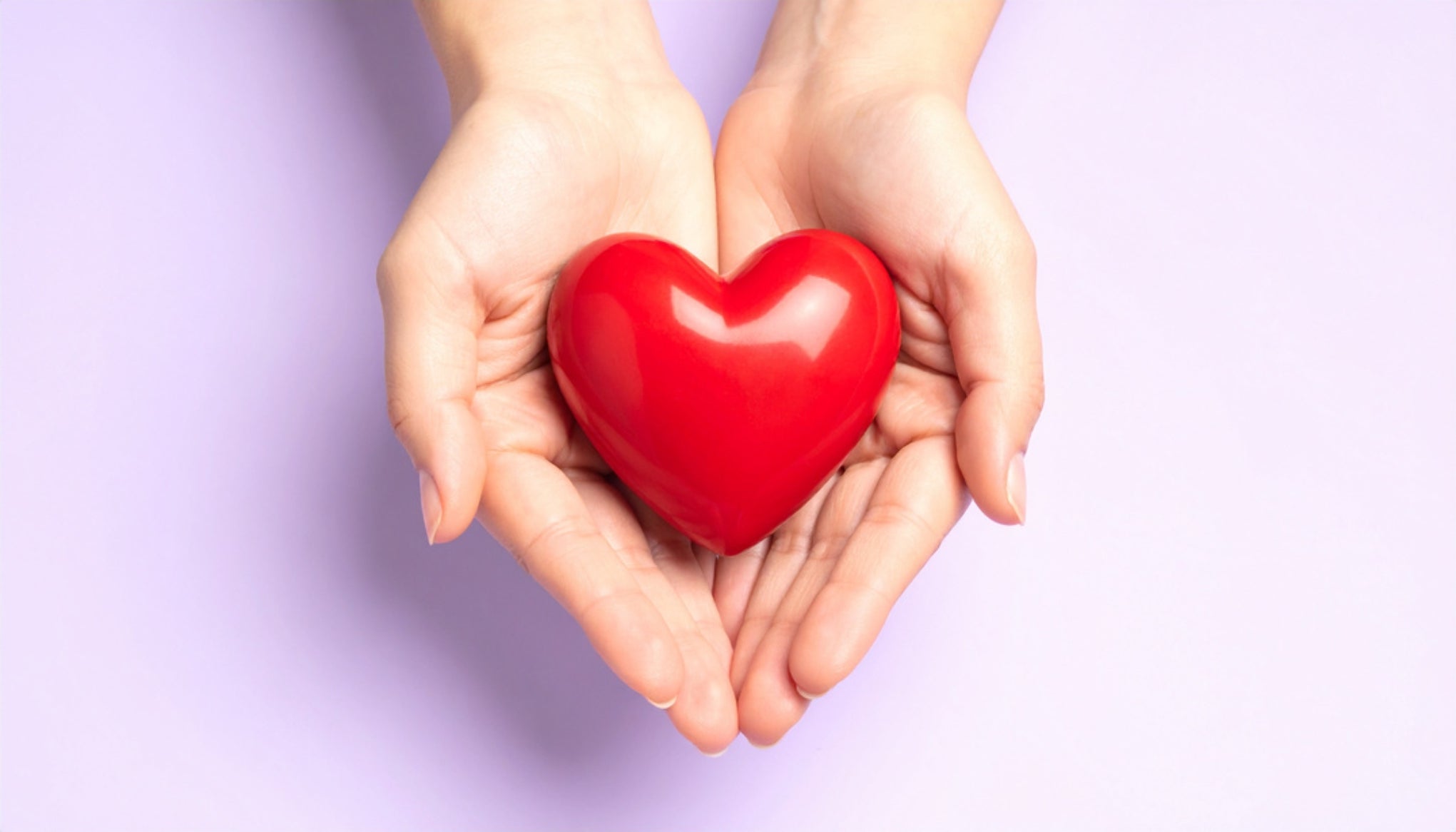 February 2026 Newsletter